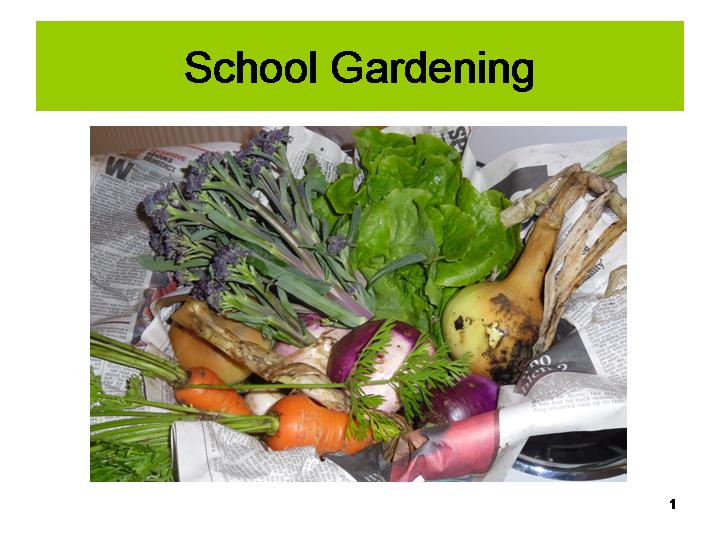 Dingle School garden slideshow